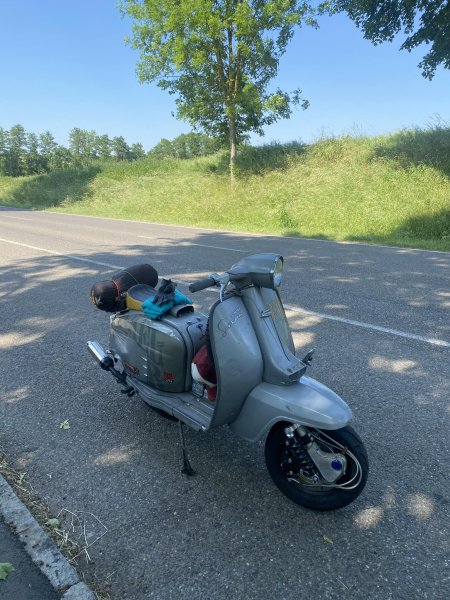 milan-lamy-sommer.jpg